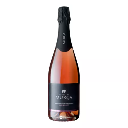 Caves de Murça | Encontros com Vinho Premium