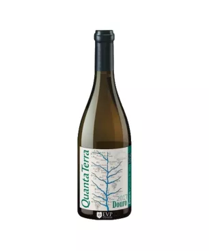 2019 Quanta Terra Grande Reserva Branco