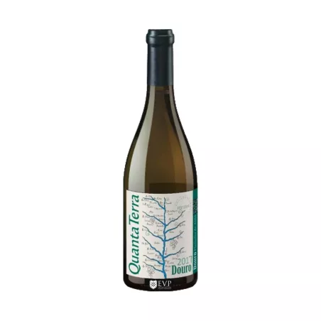 2019 Quanta Terra Grande Reserva Branco