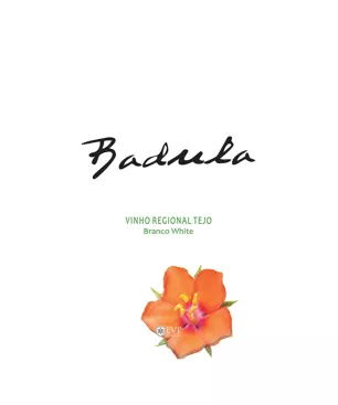 2016 Badula Branco - Encontros com Vinho Premium