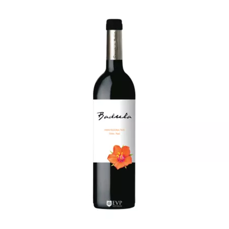 2014 Badula Tinto