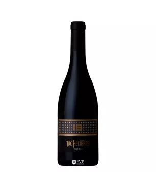 2011 Doudão Tinto - Encontros com Vinho Premium