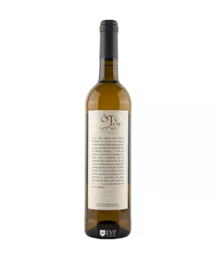 2018 Côto de Sant'Ana Branco