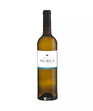 Caves de Murça | Encontros com Vinho Premium