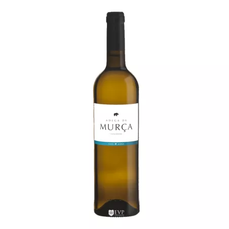 Caves de Murça | Encontros com Vinho Premium