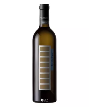 2018 Scala Coeli Branco