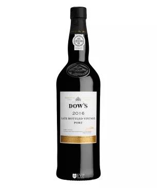 Symington Family Estates | Encontros com Vinho Premium