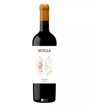 2020 Scylla Tinto