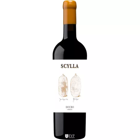 2020 Scylla Tinto